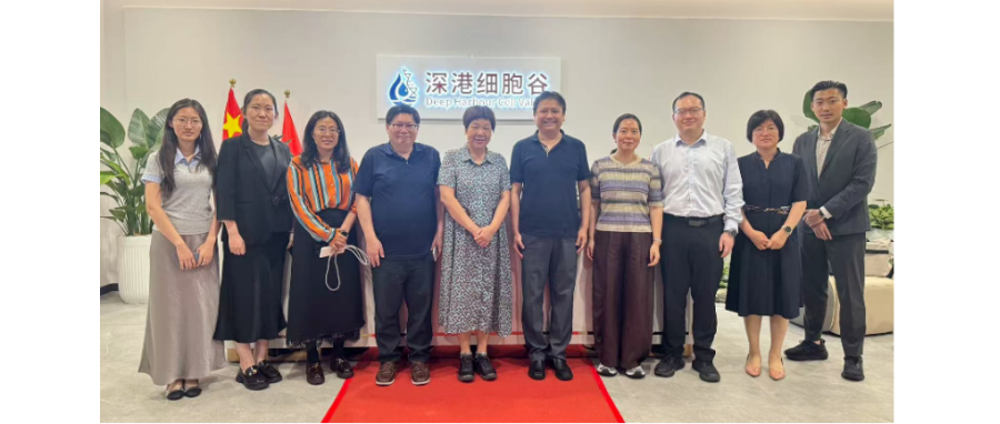 国家开展改革委国际合作中心领导一行调研深港豪门国际