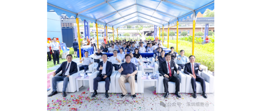 联动香港，开启前海细胞治疗新未来——深港豪门国际盛大开业