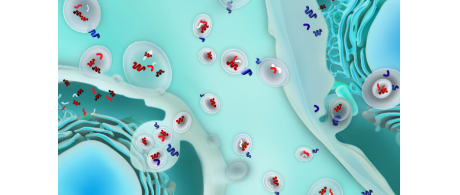 哪吒闹海！外泌体面纱大揭秘，我命由我不由天！