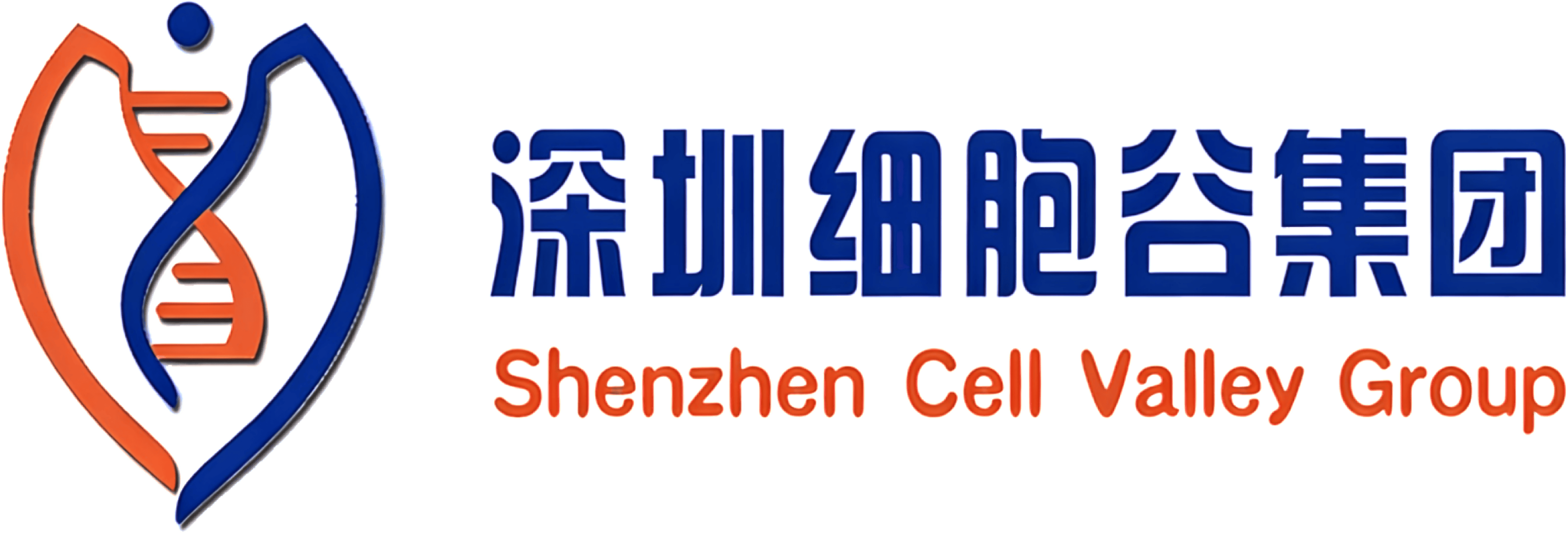 深圳豪门国际集团